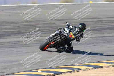 media/Feb-04-2024-SoCal Trackdays (Sun) [[91d6515b1d]]/4-Bowl Backside (11am)/